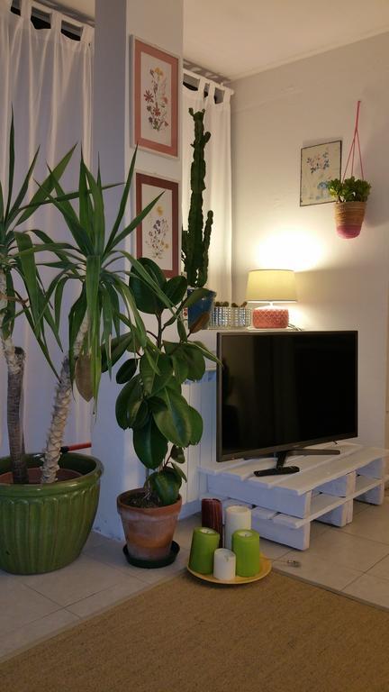 Cristina' S Flat Apartment มิซาโน อาดรีอาติโก ภายนอก รูปภาพ